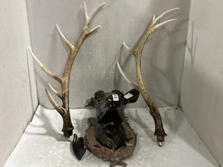 Lot 954  
            Chesterfield SR47 - Parcel Delivery Only 

                
STAGS HEAD WALL PLAQUE (LOCATION: D3)
