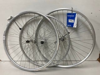 Lot 223  
            Nottingham SR4 - Delivery Or Collection 

                
3 X BIKE WHEEL RIMS TO INCLUDE GIANT HYBRID REAR SOLID AXLE SCREW ON WHEEL SILVER...