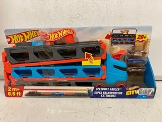 Lot 273  
            Nottingham SR6 - Parcel Delivery 

                
HOT WHEELS SPEEDWAY HAULER