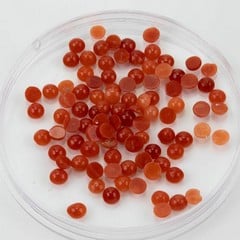 Lot 197  
            Nottingham Luxury Room - Delivery Only 

                
9.37ct Red Coral Cabochon Round-cut Parcel of Gemstones, 3mm