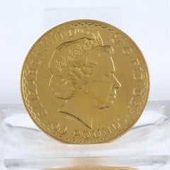 Lot 6  
            Nottingham Luxury Room - Delivery Only 

                
Britannia 24K Gold 2015 Queen Elizabeth II One Ounce Coin (VAT Only Payable on Bu...