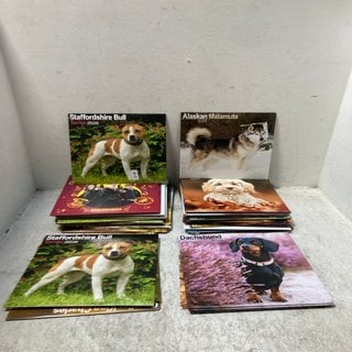 Lot 76  
            Marchington SR12 - Parcel Delivery Only 

                
QTY OF ASSORTED 2026 DOG CALENDARS: LOCATION - A-1-A0