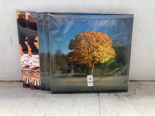 Lot 1080  
            Marchington SR17 - Parcel Delivery Only 

                
QTY OF THE GOLDEN TREE SCOTTISH SONGS OBSERVED VOL. 1 VINYL RECORDS TO INCLUDE AI...