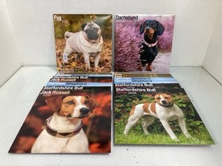 Lot 312  
            Marchington SR13 - Parcel Delivery Only 

                
QTY OF ASSORTED 2026 CALENDARS: LOCATION - H12