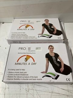 Lot 122  
            Nottingham SR3 - Delivery Only 

                
2 X PRO II MULTI LEVEL BACK STRETCHING DEVICE