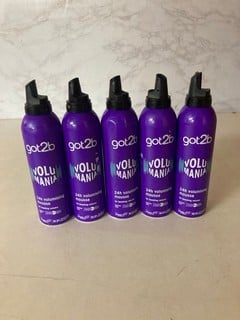 Lot 704  
            Nottingham SR5 - Delivery Only 

                
QTY OF GOT2B VOLUMEANIA MOUSE