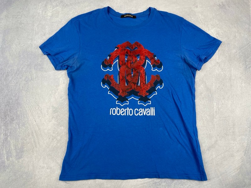 Lot 52  
            Nottingham Luxury Room - Delivery Only 

                
Robert Cavalli T-Shirt - Size L (VAT ONLY PAYABLE ON BUYERS PREMIUM)