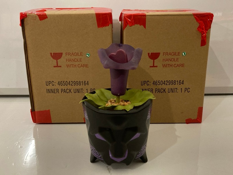 Lot 521  
            Nottingham SR7 - Delivery Only 

                
3 X MARVEL WORLD OF WAKANDA BLACK PANTHER SUCCULENT FLOWER PLANTERS