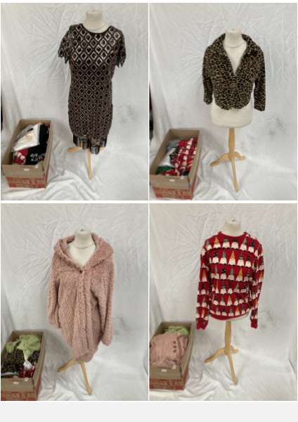 Lot 127  
            Edinburgh SR33 - Delivery Only 

                
1 BOX OF LADIES CLOTHING TO INCLUDE HOPE & IVY MIDAXI DRESS SIZE UK 12: LOCATION ...