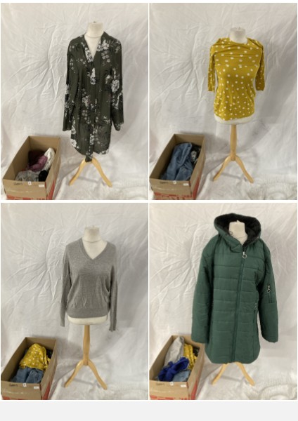 Lot 218  
            Edinburgh SR33 - Delivery Only 

                
1 BOX OF WOMEN'S CLOTHING TO INCLUDE BLUE UNDER ARMOR BRA SIZE SMALL :: LOCATION ...