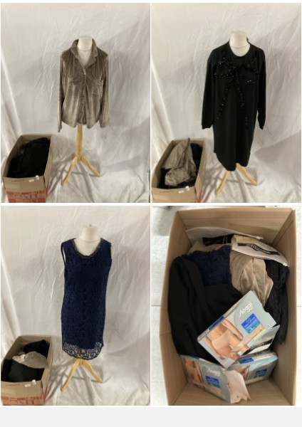 Lot 261  
            Edinburgh SR33 - Delivery Only 

                
1 BOX OF CLOTHING & APPAREL ITEMS TO INCLUDE SLOGGI WOMEN'S GO DAILY COTTON HIGH ...