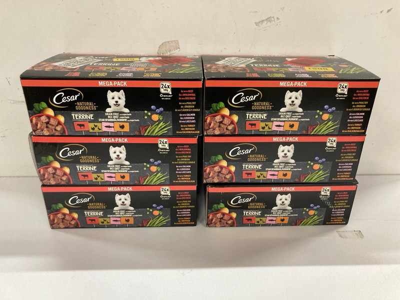 Lot 538  
            Nottingham SR2 - Delivery Only 

                
6 X CESAR NATURAL GOODNESS TERRINE (BBE: 17/01/27)