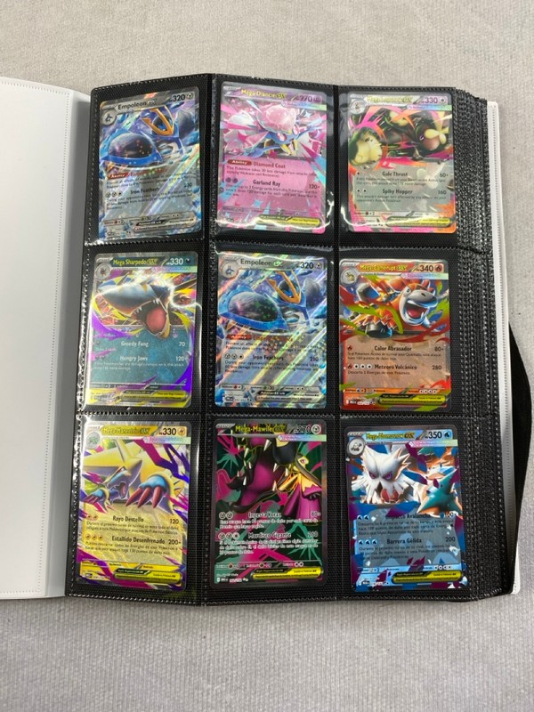 Lot 430  
            Nottingham Prem - Delivery Only 

                
POKEMON BINDER WITH CARDS