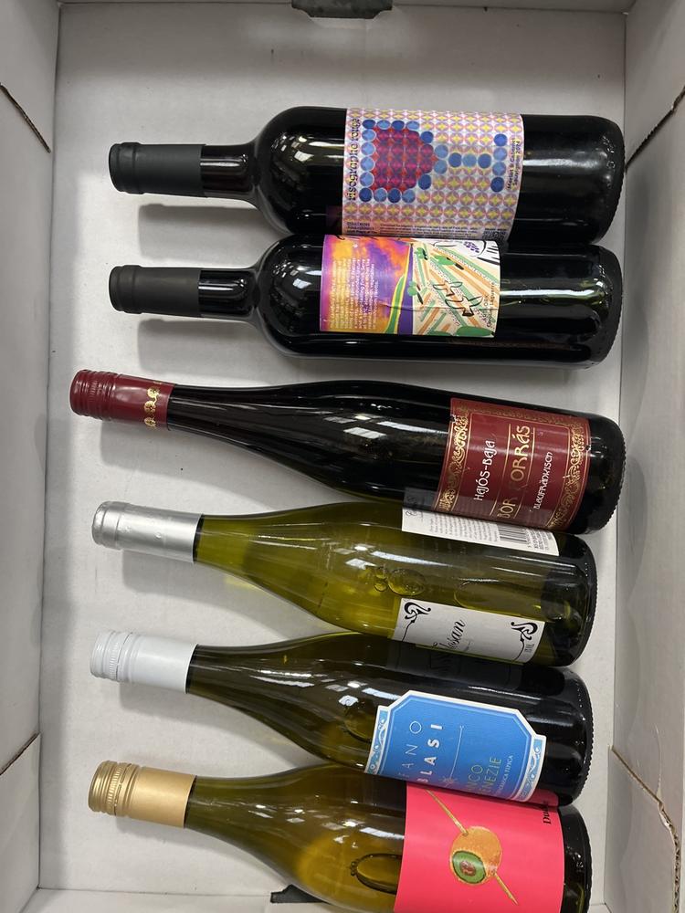 Lot 25  
            Chesterfield SR40 - Collection or Optional Delivery Available 

                
6 X ASSORTED BOTTLES OF WINE TO INCLUDE HAJOS-BAJA, STEFANO DI BLASI, COMTE TOLOS...