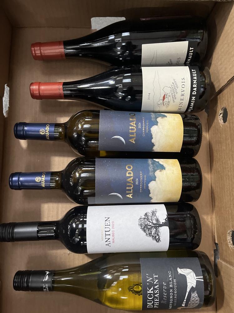 Lot 81  
            Chesterfield SR40 - Collection or Optional Delivery Available 

                
6 X ASSORTED BOTTLES OF WINE TO INCLUDE DUCK N' PHEASANT, ALUADO, BENJAMIN DARNAU...