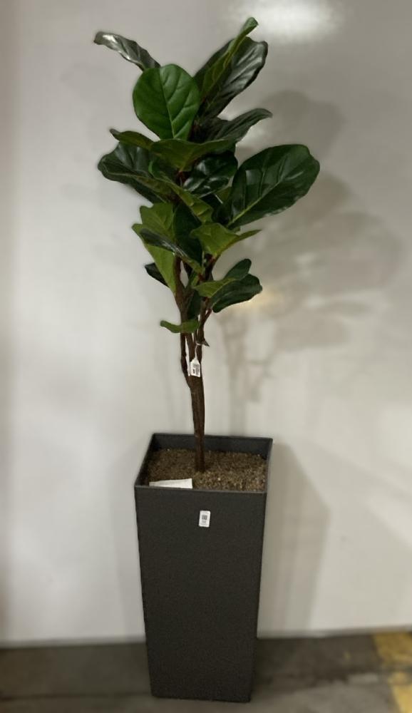 Lot 94  
            Chesterfield SR38 - Collection 

                
DFS ARTIFICIAL PLANT IN SLATE GREY PLANT POT - ORIGINAL RRP £250 (COLLECTION ONLY...