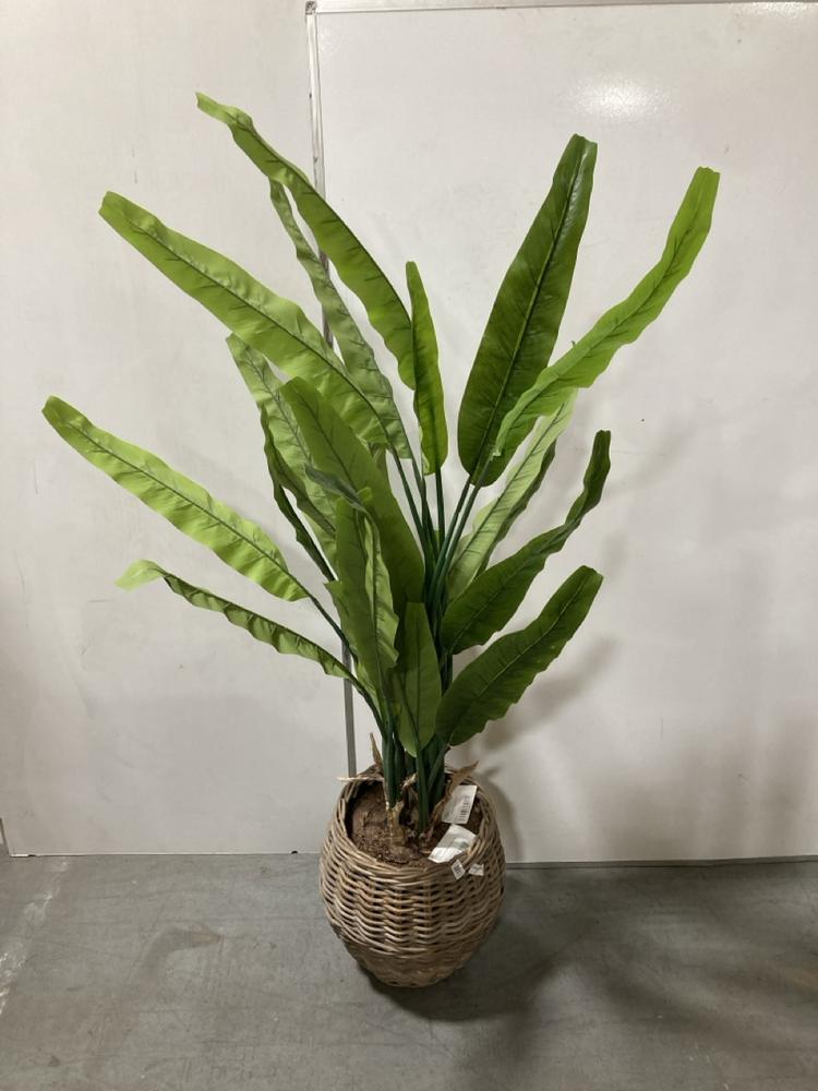 Lot 96  
            Chesterfield SR38 - Collection 

                
DFS ARTIFICIAL PLANT IN RATTAN PLANT POT (COLLECTION ONLY) (LOCATION: SR38 B12) (...