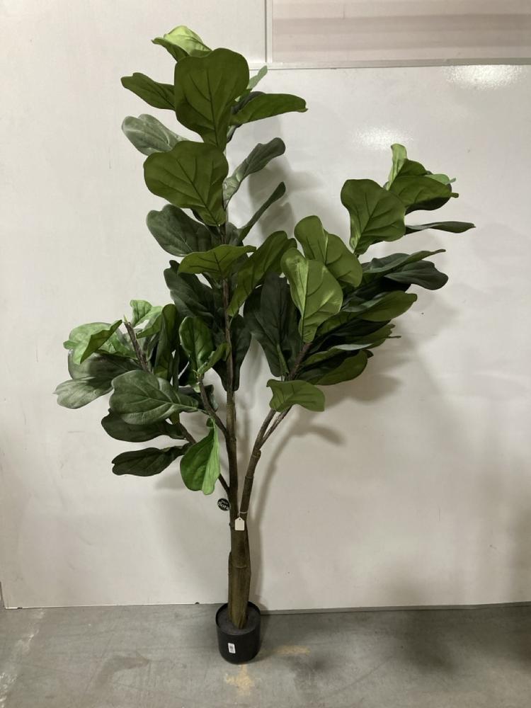 Lot 98  
            Chesterfield SR38 - Collection 

                
DFS ARTIFICIAL TREE IN SMALL BLACK PLANT POT (COLLECTION ONLY) (LOCATION: SR38 B12)