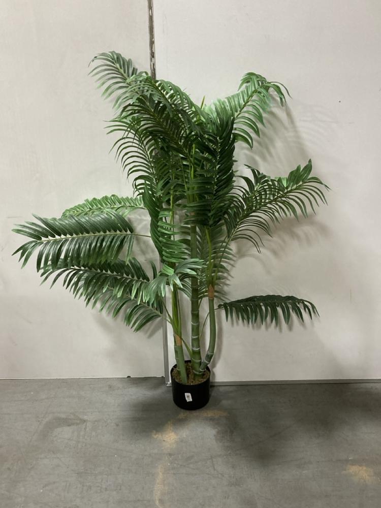 Lot 99  
            Chesterfield SR38 - Collection 

                
DFS BAMBOO STYLE ARTIFICIAL PLANT IN BLACK PLANT POT (COLLECTION ONLY) (LOCATION:...