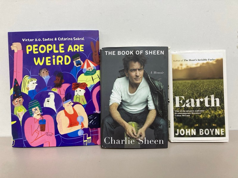 Lot 498  
            Nottingham SR1 - Delivery Only 

                
BOX OF VARIOUS BOOKS INC. APHEX TVVIN - A DISCO POGO TRIBUTE