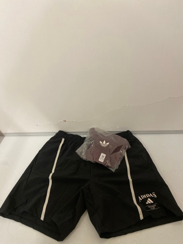 Lot 270  
            Nottingham SR7 – Delivery Only 

                
2 X ADIDAS CLOTHING ITEMS INC TRAINING CLUB SHORTS SIZE: L