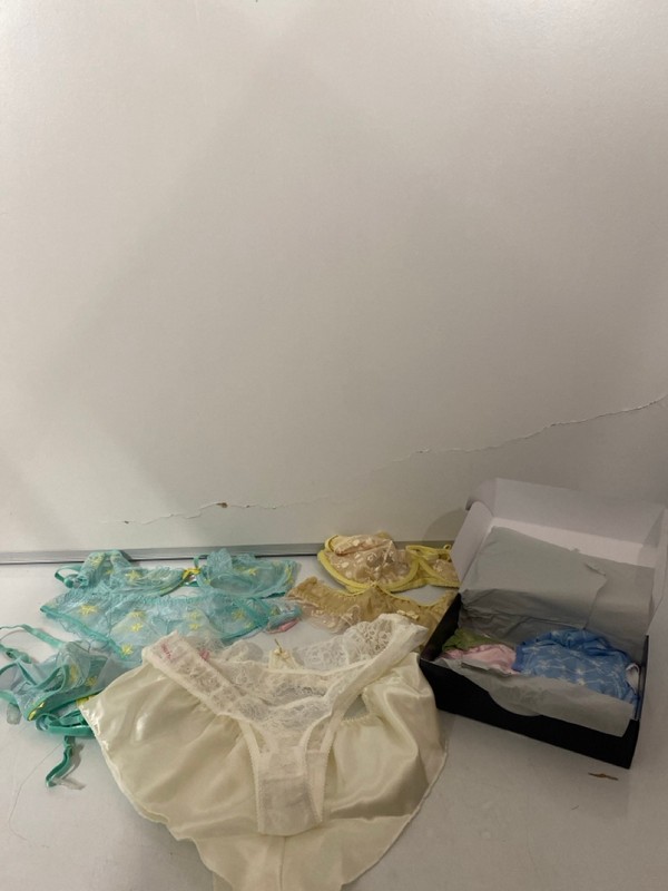 Lot 273  
            Nottingham SR7 – Delivery Only 

                
QTY OF WOMEN'S UNDERWEAR INC BRAS