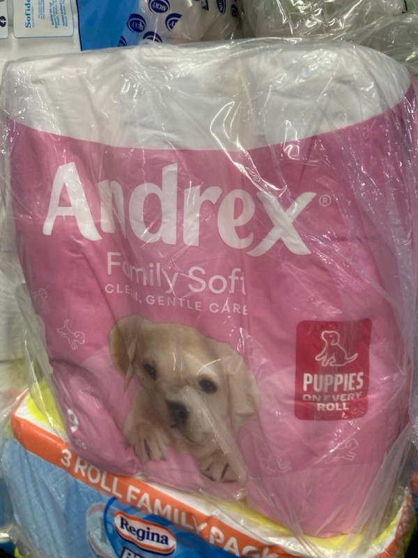 Lot 152  
            Nottingham SR1 - Delivery or Collection 

                
PALLET OF VARIOUS TOILET ROLL & KITCHEN ROLL - Image 3