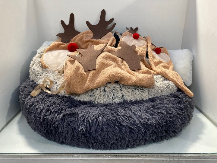 Lot 1488  
            Marchington SR14 - Parcel Delivery Only 

                
QTY OF ASSORTED SOFT FURNISHINGS TO INCLUDE 2 X RUDOLPH THE RED NOSE REINDEER PRE...