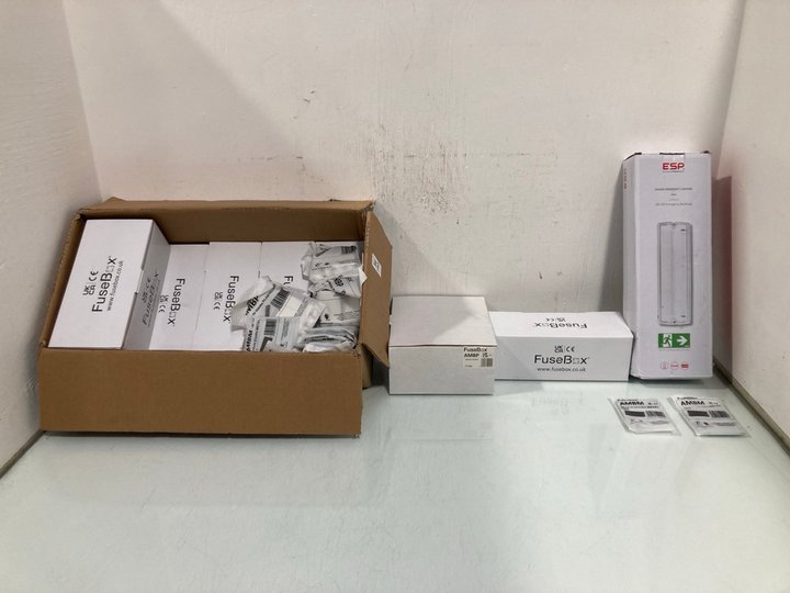 Lot 790  
            Marchington SR12 - Parcel Delivery Only 

                
QTY OF ASSORTED ITEMS TO INCLUDE ESP 3W LED EMERGENCY BULKHEAD LIGHT: LOCATION - H4