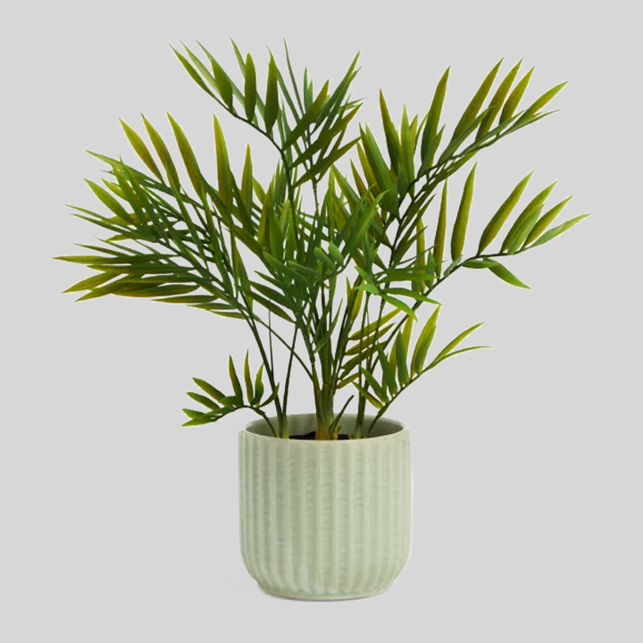 Birmingham SR108 - 624- Clothing, Toys & Tools