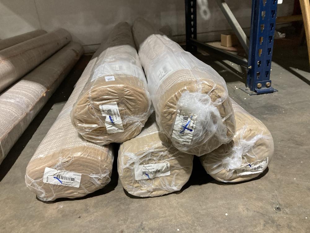 Lot 662  
            Birmingham SR106 - Collection or Optional Delivery Available 

                
5 X SURYA RUGS TO INCLUDE FIVELANDS RUG (LOCATION: WALL RACKINGS )