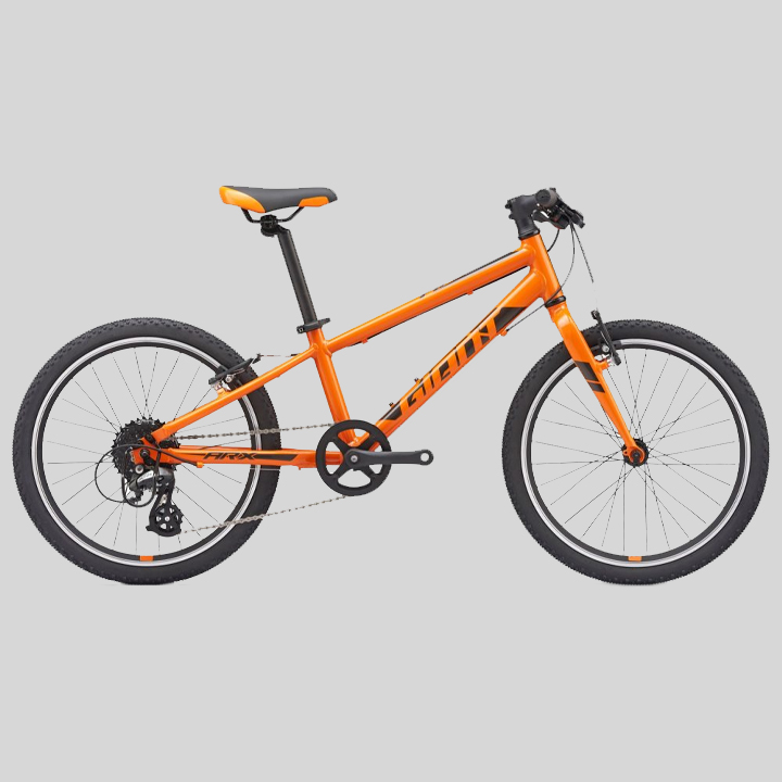 Edinburgh SR21 - 2035 - Bikes, Sofas & Food Items