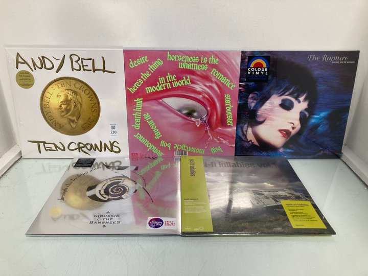 Lot 230  
            Marchington SR13 - Parcel Delivery Only 

                
5 X ASSORTED VINYL ALBUMS TO INCLUDE ANDY BELL TEN CROWNS: LOCATION - WH10