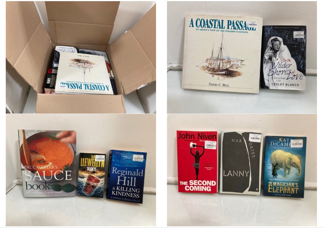 Lot 1073  
            Marchington SR10 - Parcel Delivery Only 

                
QTY OF ASSORTED BOOKS TO INCLUDE A COASTAL PASSAGE BY DAVID C BELL: LOCATION - DR9